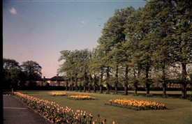 Photo:Poulter Park 1960