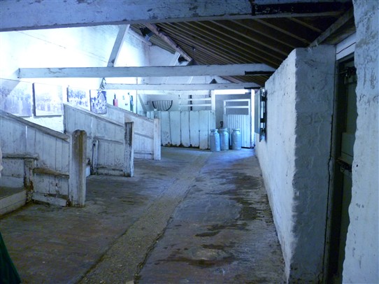 Photo:Interior of cattle sheds